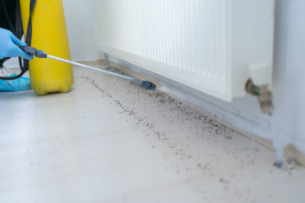Best Mosquito Control Services  in Glasgow Village, MO
